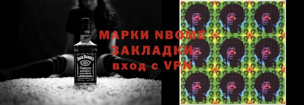 прущие грибы Вяземский